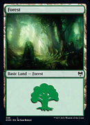 Forest (398) [Kaldheim] Foil