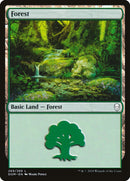 Forest (269) [Dominaria] Foil
