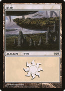 Plains - Zendikar Cycle [Magic Premiere Shop 2009] Foil