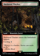 Sheltered Thicket (Extended Art) [Doctor Who] Foil