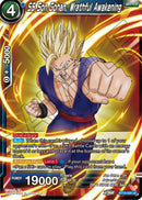 SS Son Gohan, Wrathful Awakening (BT19-050) [Fighter's Ambition] Parallel Foil