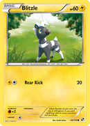 Blitzle (40/114) [Black & White: Base Set] Reverse Holofoil