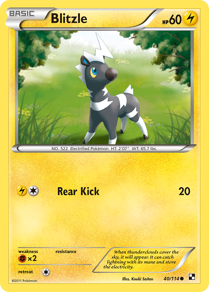 Blitzle (40/114) [Black & White: Base Set] Reverse Holofoil
