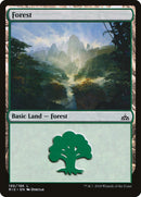 Forest (196) [Rivals of Ixalan] Foil