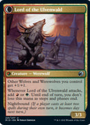 Kessig Naturalist // Lord of the Ulvenwald [Innistrad: Midnight Hunt] Foil