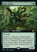 Briar Hydra (Extended Art) [Dominaria United] Foil
