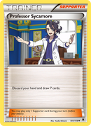 Professor Sycamore (101/119) [XY: Phantom Forces] Reverse Holofoil