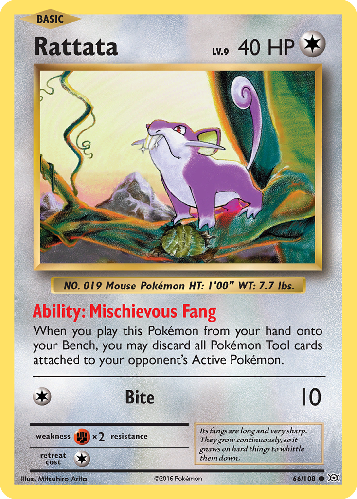 Rattata (66/108) [XY: Evolutions] Reverse Holofoil