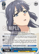 Incident in a Dream, Shoko Makinohara [Rascal Does Not Dream of a Dreaming Girl]