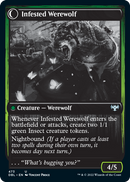 Infestation Expert // Infested Werewolf [Innistrad: Double Feature] Foil