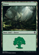 Forest (276) [Dominaria United] Foil