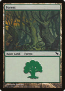 Forest (301) [Shadowmoor] Foil