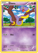 Ekans (47/146) [XY: Base Set] Reverse Holofoil