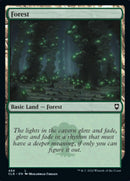 Forest (468) [Commander Legends: Battle for Baldur's Gate] Foil