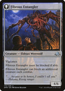 Tangleclaw Werewolf // Fibrous Entangler [Eldritch Moon] Foil