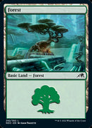 Forest (292) [Kamigawa: Neon Dynasty] Foil