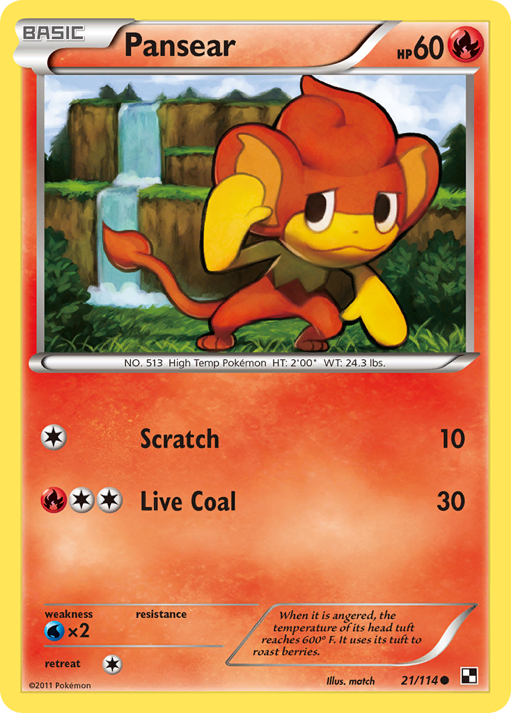 Pansear (21/114) [Black & White: Base Set] Reverse Holofoil