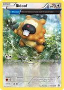 Bidoof (117/160) [XY: Primal Clash] Reverse Holofoil