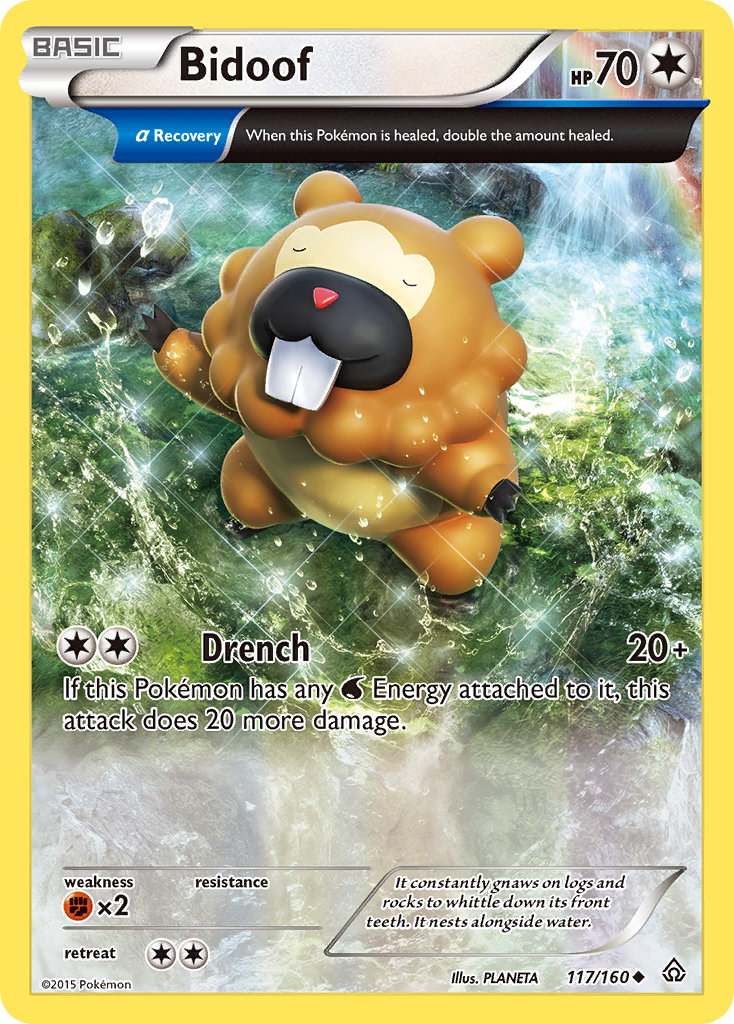 Bidoof (117/160) [XY: Primal Clash] Reverse Holofoil