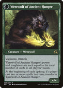 Sage of Ancient Lore // Werewolf of Ancient Hunger [Shadows over Innistrad] Foil