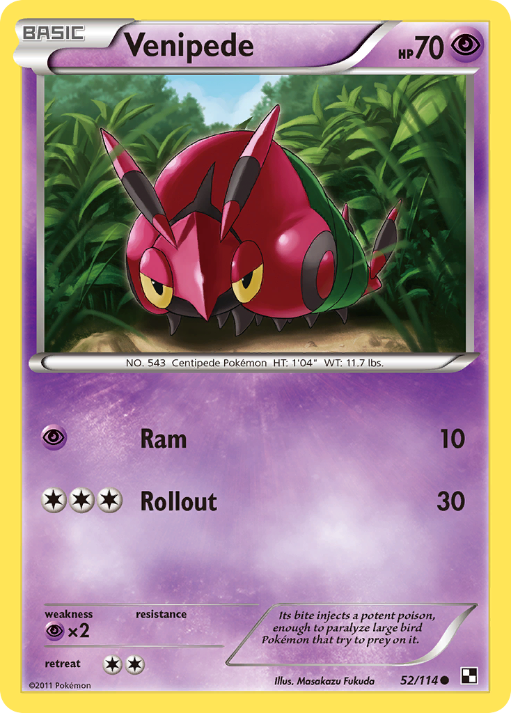 Venipede (52/114) [Black & White: Base Set] Reverse Holofoil