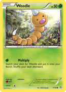 Weedle (1/160) [XY: Primal Clash] Reverse Holofoil