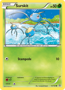 Surskit (13/160) [XY: Primal Clash] Reverse Holofoil