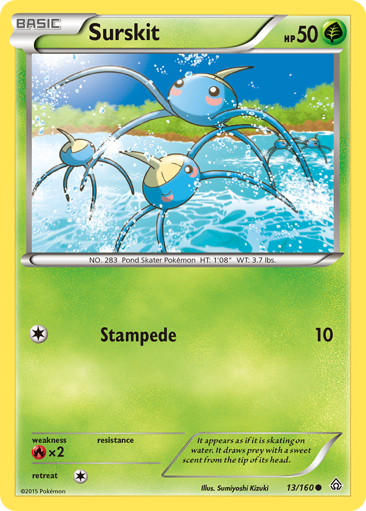 Surskit (13/160) [XY: Primal Clash] Reverse Holofoil