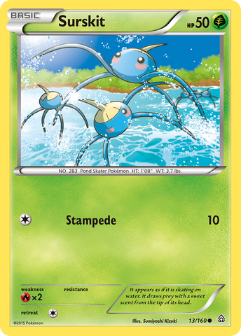Surskit (13/160) [XY: Primal Clash] Reverse Holofoil