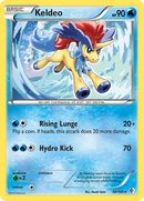 Keldeo (48/149) [Black & White: Boundaries Crossed] Reverse Holofoil