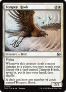 Tempest Hawk [Tarkir: Dragonstorm] Foil