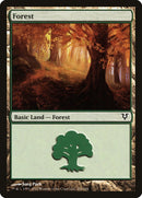 Forest (243) [Avacyn Restored] Foil