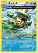 Ludicolo (37/160) [XY: Primal Clash] Reverse Holofoil
