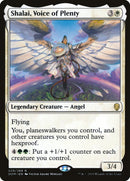 Shalai, Voice of Plenty [Dominaria] Foil