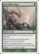 Spreading Algae [Eighth Edition] Foil