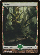 Forest (247) [Zendikar] Foil
