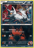 Team Magma's Poochyena (17/34) [XY: Double Crisis] Reverse Holofoil