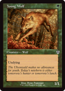 Young Wolf (Retro Frame) [Innistrad Remastered] Foil