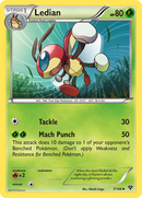 Ledian (7/146) [XY: Base Set] Reverse Holofoil