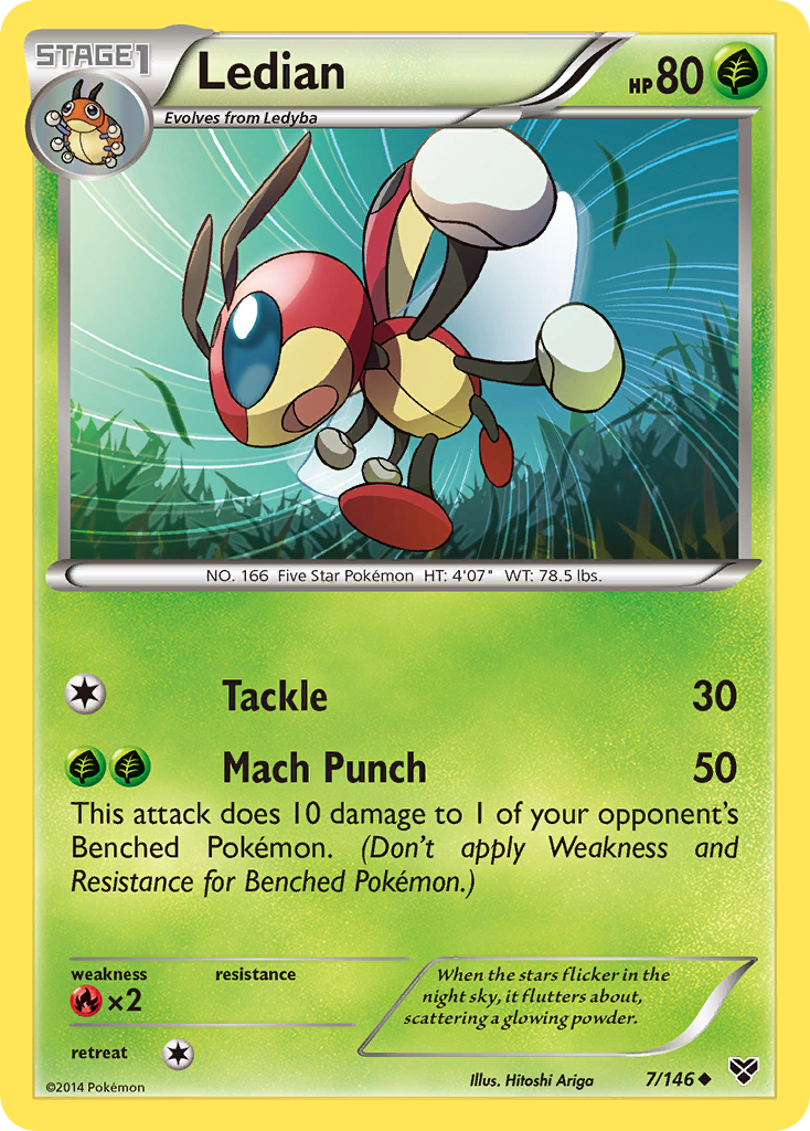Ledian (7/146) [XY: Base Set] Reverse Holofoil