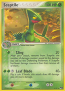 Sceptile (4/17) [POP Series 1] Holofoil