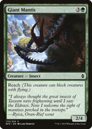 Giant Mantis [Battle for Zendikar] Foil