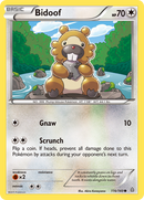 Bidoof (116/160) [XY: Primal Clash] Reverse Holofoil