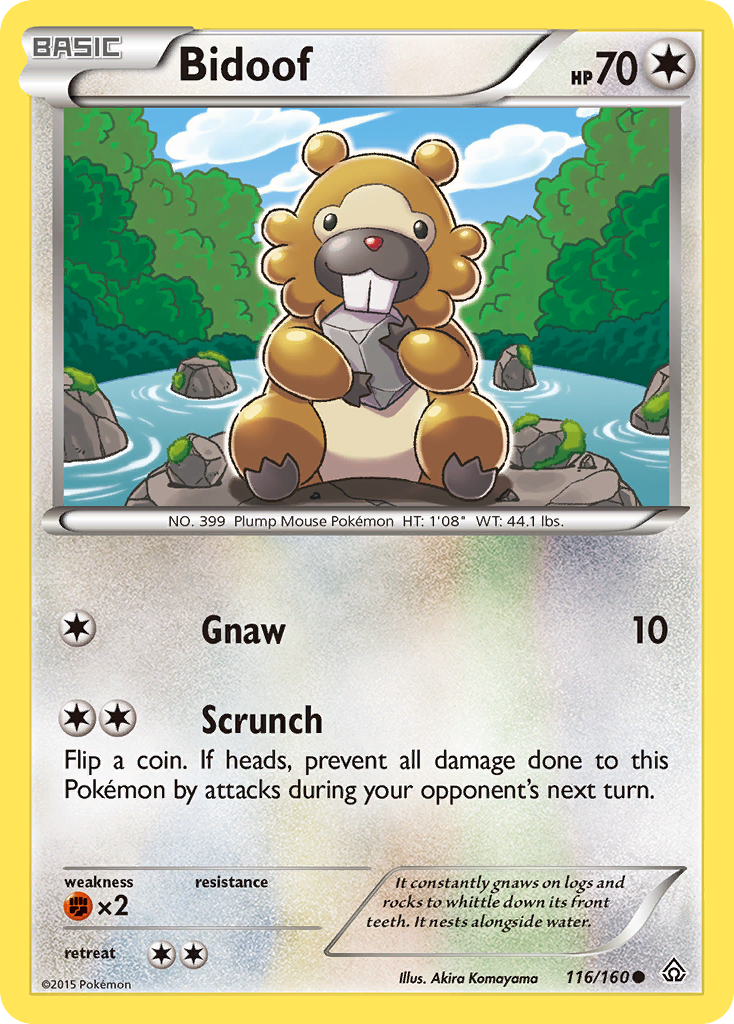 Bidoof (116/160) [XY: Primal Clash] Reverse Holofoil